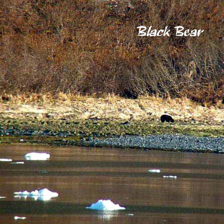 %_tempFileName007_alaska%