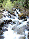 %_tempFileNamep052_juneau%