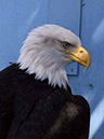 %_tempFileNamep078_juneau%