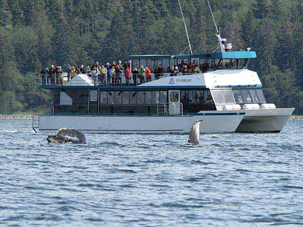 %_tempFileName046_whale_%