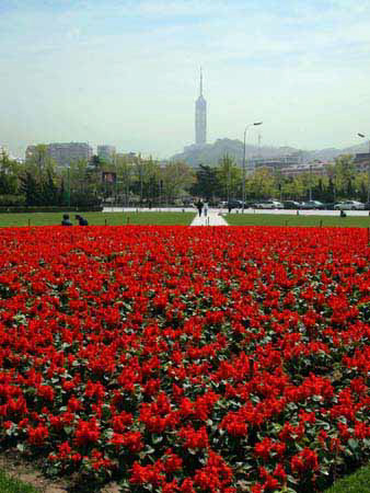 %_tempFileNamep118_dalian%