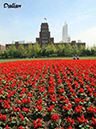 %_tempFileName069_dalian%