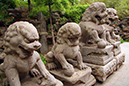 %_tempFileName070_hutong%