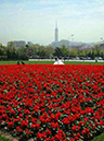 %_tempFileNamep118_dalian%