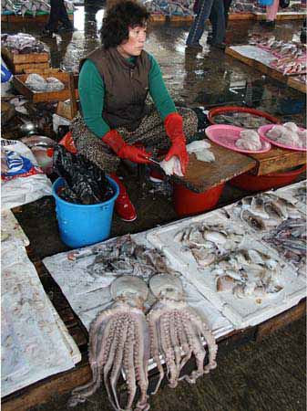 %_tempFileNamep008_pusan%