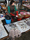 %_tempFileNamep008_pusan%
