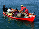 %_tempFileName11_cruise%