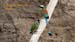 turquoise-browed motmot_2007