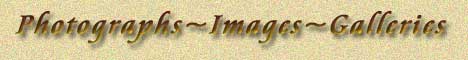 photo images galleries